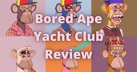 bored ape rolex|bored ape yacht club reviews.